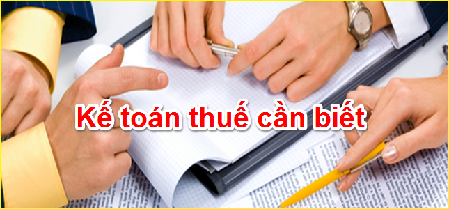 Các dịch vụ kế toán ở Gò Vấp cung cấp cho công ty, doanh nghiệp 