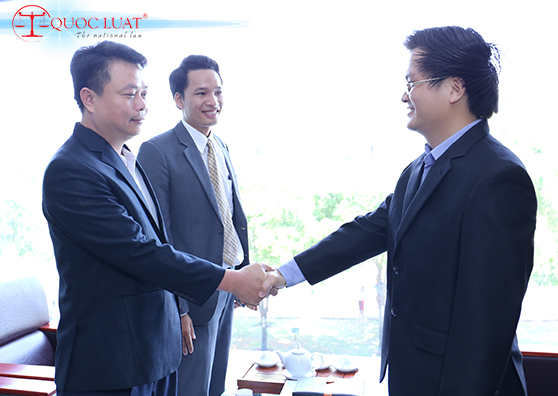 Công ty kế toán Quốc Luật
